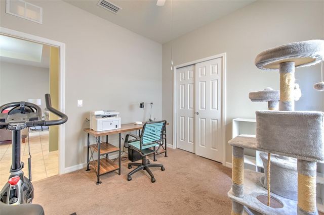 6435 YELLOW BUCKEYE DRIVE, Riverview, FL 33578