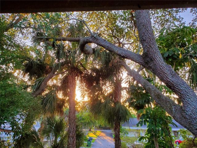 2224 BAHIA VISTA STREET E6, Sarasota, FL 34239