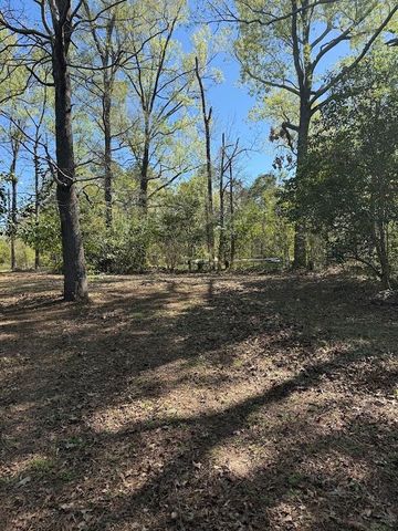 4001 Carters Ferry Road E, Milam, TX 75959