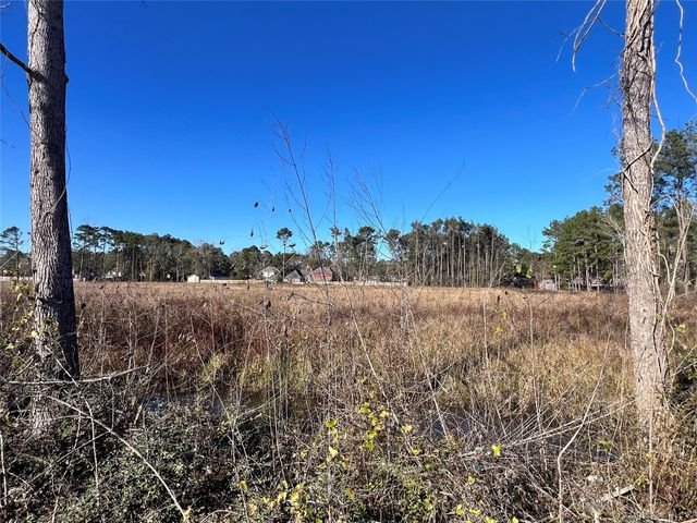 000000 Ladybug Court, Porter Heights, TX 77365
