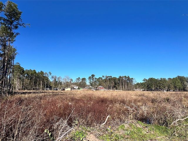 000000 Ladybug Court, Porter Heights, TX 77365