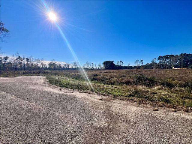 000000 Ladybug Court, Porter Heights, TX 77365