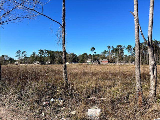 000000 Ladybug Court, Porter Heights, TX 77365