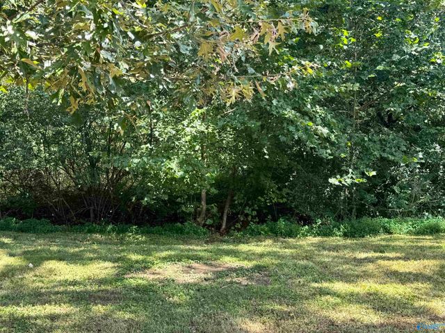 3480 Winchester Road, New Market, AL 35761