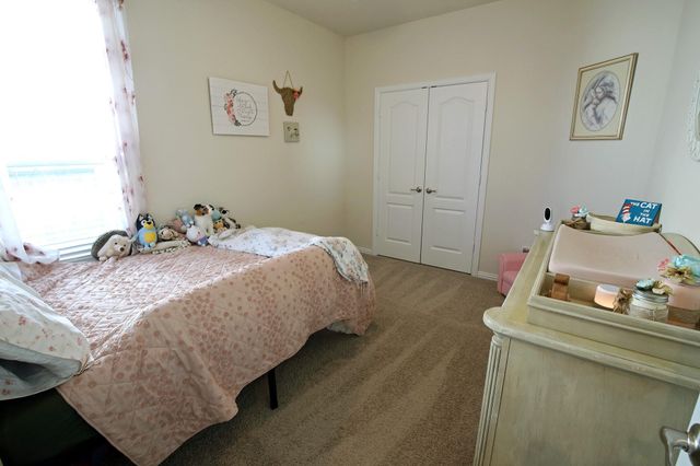 13346 Pecan Trails Drive, Santa Fe, TX 77510