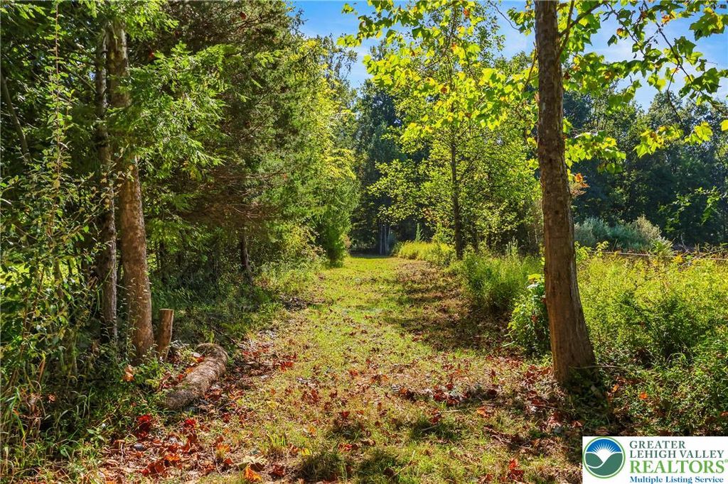 93 Coffeetown Road, Williams Twp, PA 18042