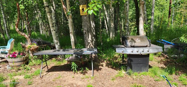 3060 N Edgewater Drive, Wasilla, AK 99623