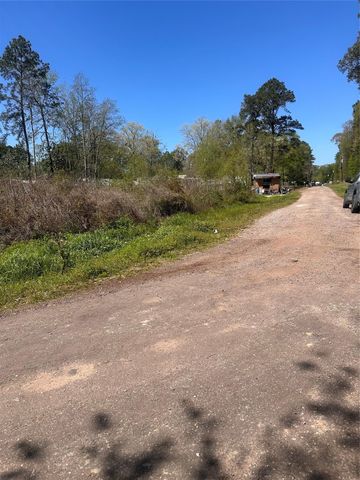 0 Dottie Lane, Shepherd, TX 77371