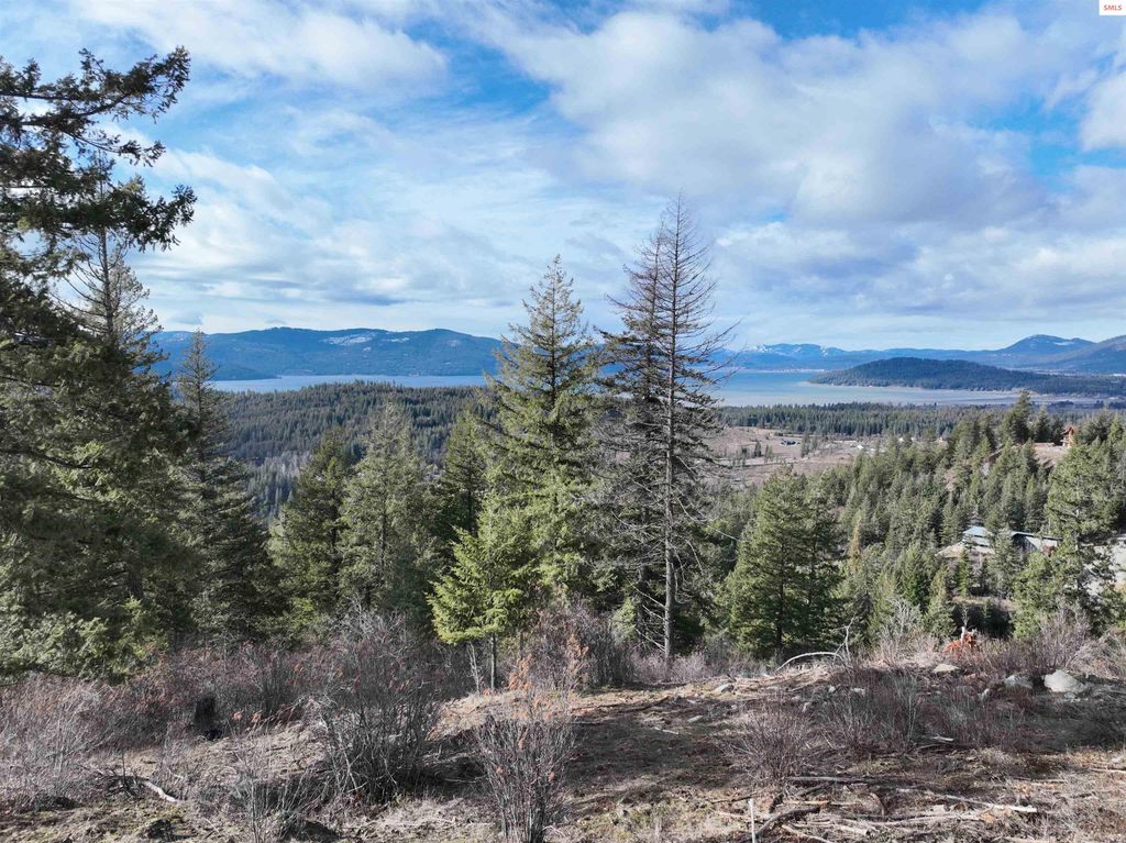 TBB Green Monarch Ln., Sandpoint, ID 83864 photo 10