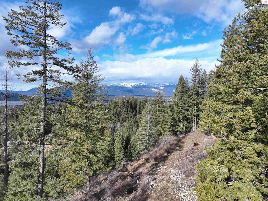 TBB Green Monarch Ln., Sandpoint, ID 83864 photo 11