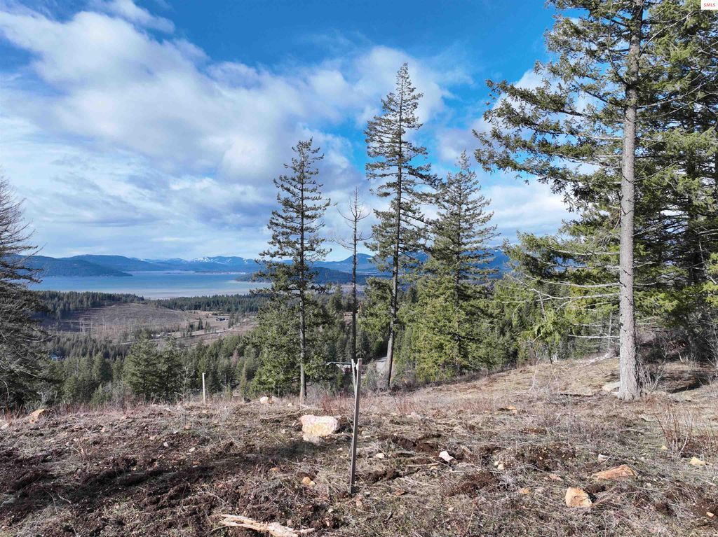 TBB Green Monarch Ln., Sandpoint, ID 83864 photo 12