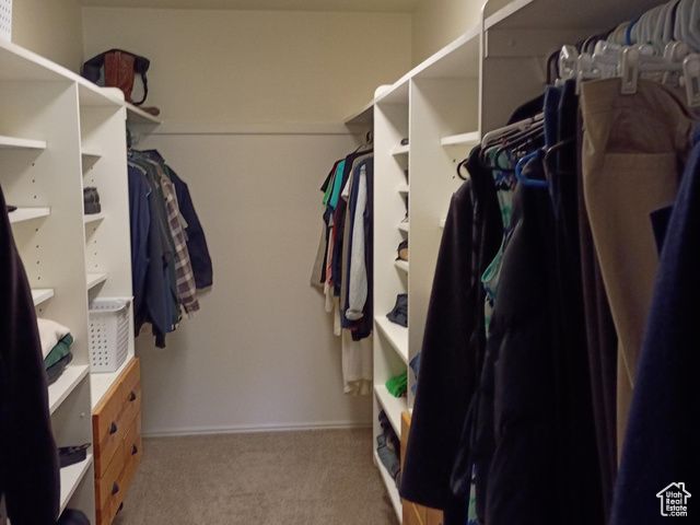 1407 SHEPHERD DR, Wellington, UT 84542