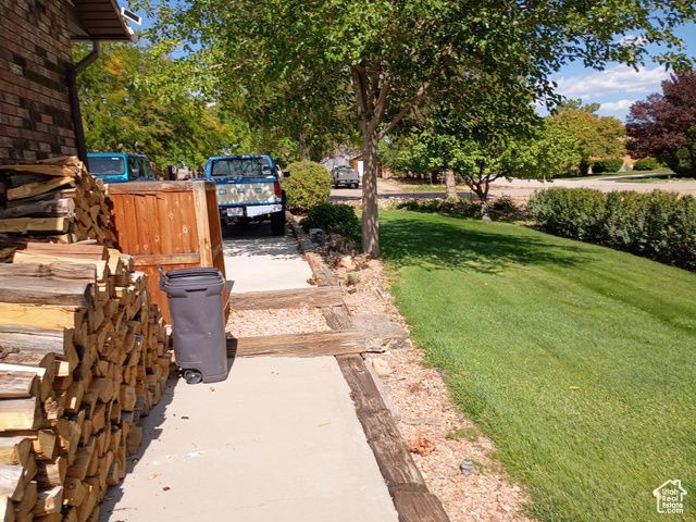 1407 SHEPHERD DR, Wellington, UT 84542