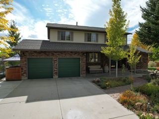 1407 SHEPHERD DR, Wellington, UT 84542