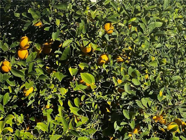 2022 Mirage Way, Corona, CA 92882