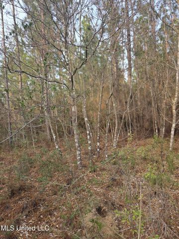 E Lake Cypress Drive, Perkinston, MS 39573