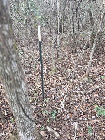 E Lake Cypress Drive, Perkinston, MS 39573