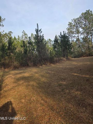 E Lake Cypress Drive, Perkinston, MS 39573