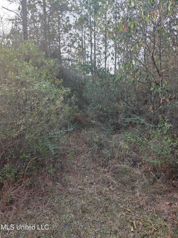 E Lake Cypress Drive, Perkinston, MS 39573