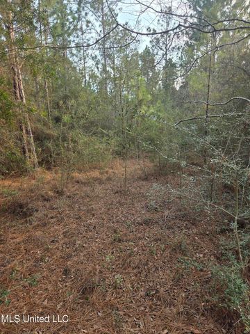 E Lake Cypress Drive, Perkinston, MS 39573