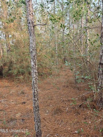 E Lake Cypress Drive, Perkinston, MS 39573