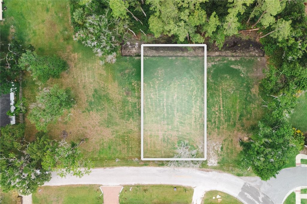 7303 AVONWOOD STREET, Tampa, FL 33625