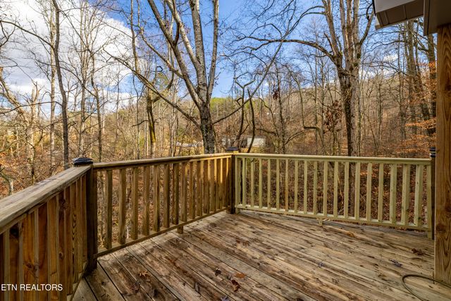3883 Freels Rd, Friendsville, TN 37737