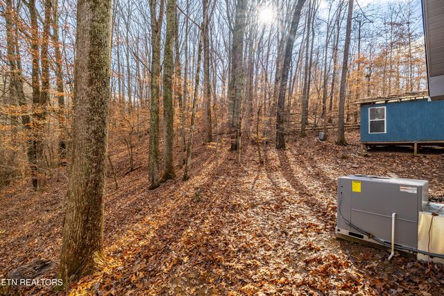 3883 Freels Rd, Friendsville, TN 37737