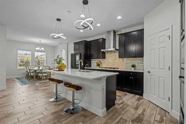 4528 BALLANTRAE BOULEVARD, Land O Lakes, FL 34638