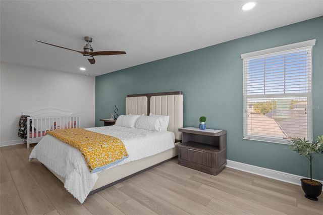 4528 BALLANTRAE BOULEVARD, Land O Lakes, FL 34638