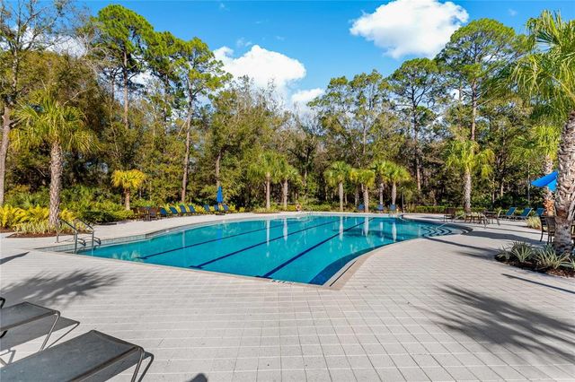 4528 BALLANTRAE BOULEVARD, Land O Lakes, FL 34638