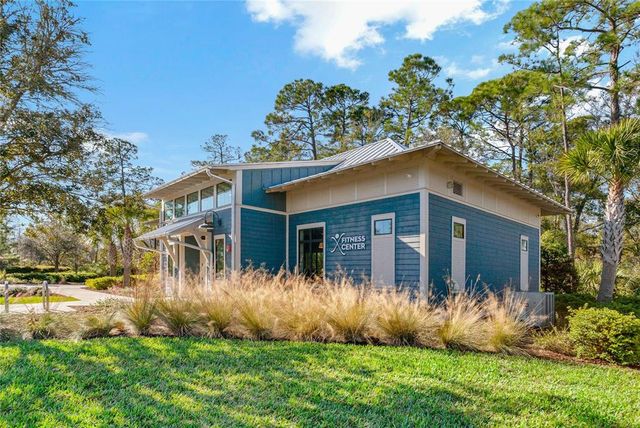 4528 BALLANTRAE BOULEVARD, Land O Lakes, FL 34638
