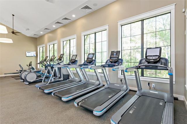 4528 BALLANTRAE BOULEVARD, Land O Lakes, FL 34638