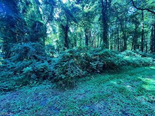Lot 64 Main ST, Suffolk, VA 23434