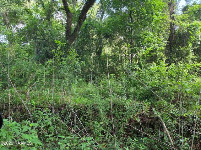 2480 Savoy Road, Youngsville, LA 70592