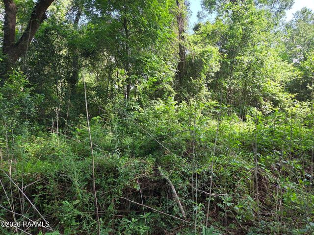 2480 Savoy Road, Youngsville, LA 70592