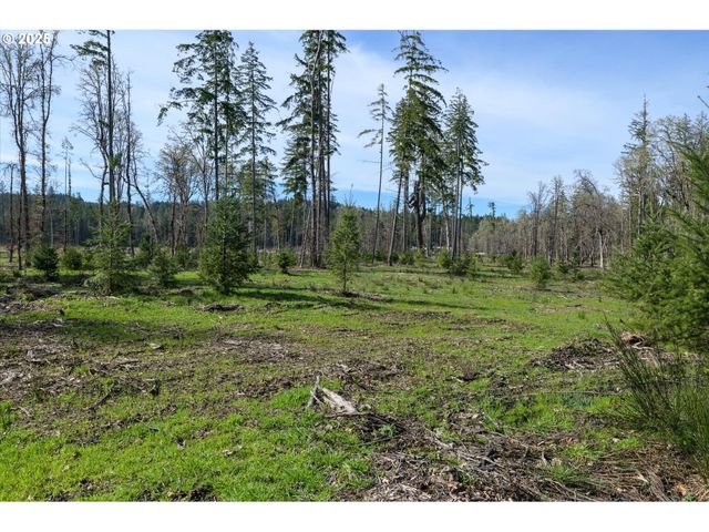 Suttle Rd Lot 2, Veneta, OR 97487
