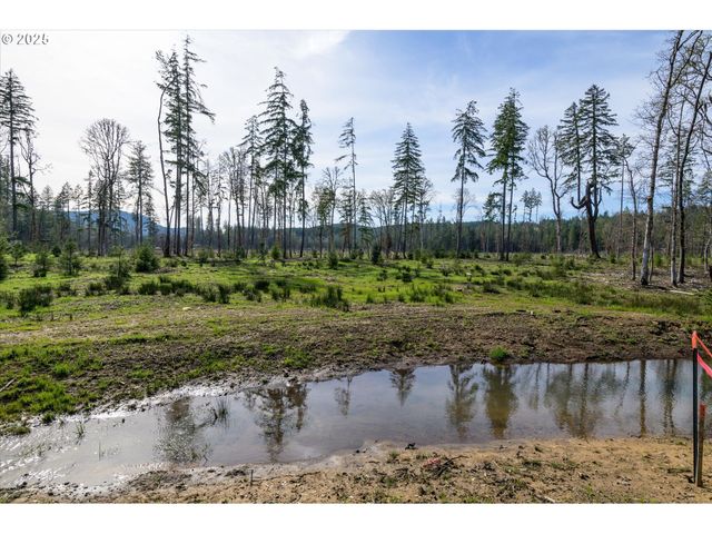 Suttle Rd Lot 2, Veneta, OR 97487