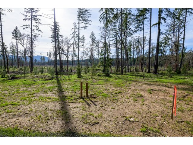 Suttle Rd Lot 2, Veneta, OR 97487