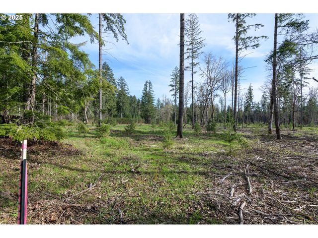 Suttle Rd Lot 2, Veneta, OR 97487