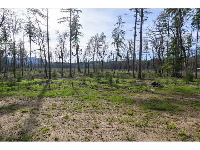 Suttle Rd Lot 2, Veneta, OR 97487