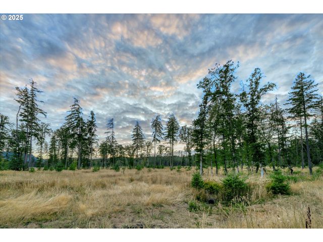 Suttle Rd Lot 2, Veneta, OR 97487