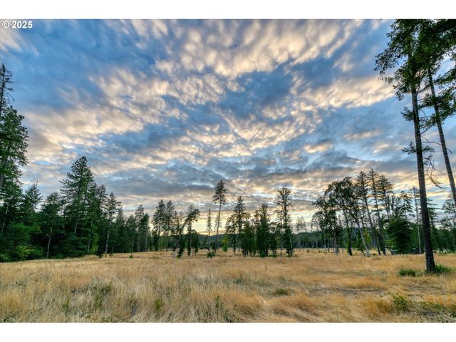 Suttle Rd Lot 2, Veneta, OR 97487