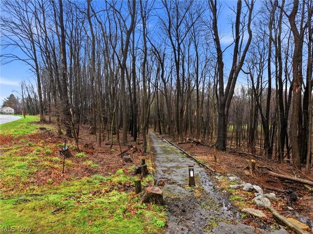 1734 Tonawanda Avenue, Akron, OH 44305