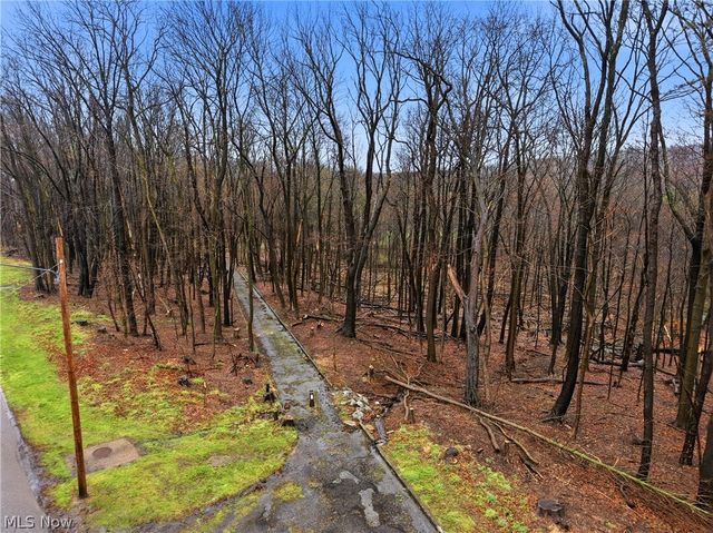 1734 Tonawanda Avenue, Akron, OH 44305