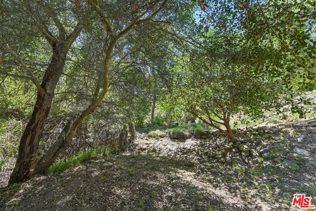 1527 Bainum Drive, Topanga, CA 90290