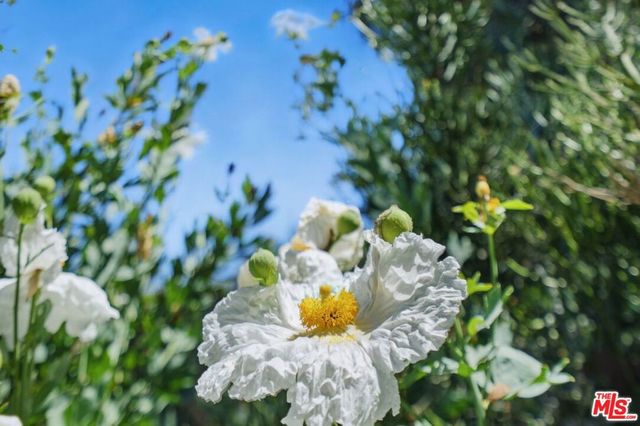 1527 Bainum Drive, Topanga, CA 90290