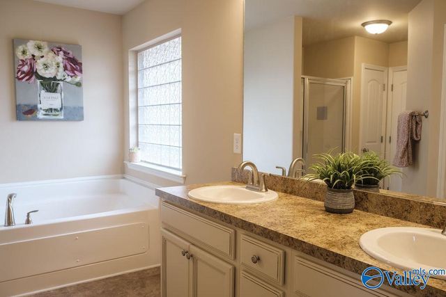 247 Harold Murphy Drive, Madison, AL 35756
