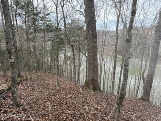 6.49 AC Garrett Town Lane, Monroe, TN 38573