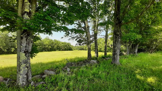 929 Packer Road, Mount Holly, VT 05758